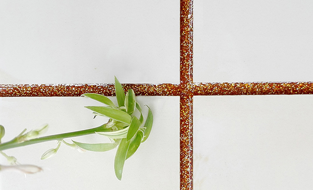 瓷砖一定要做美缝吗