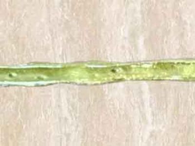 新手做瓷砖美缝第一步，正确的排胶方法