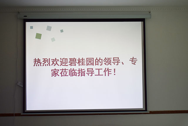 碧桂园领导、专家莅临德国CUALI凯发k8国际首页登录指导工作